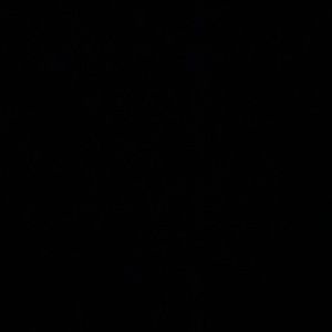 Meet your Posher, Stella